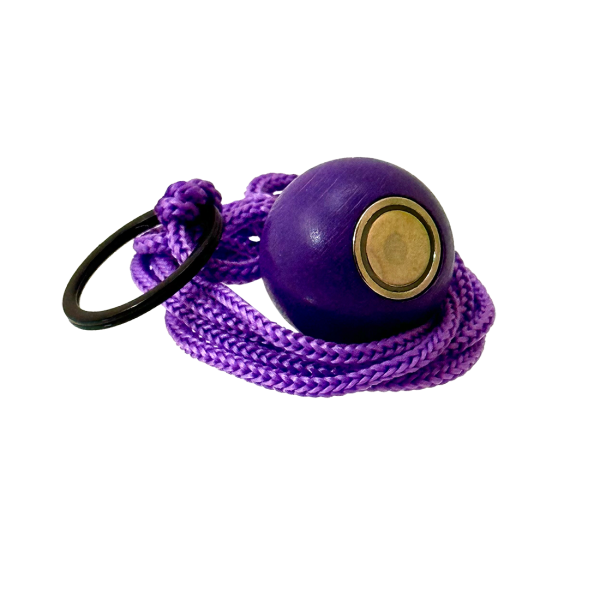 Petanque Ball Collect Violet