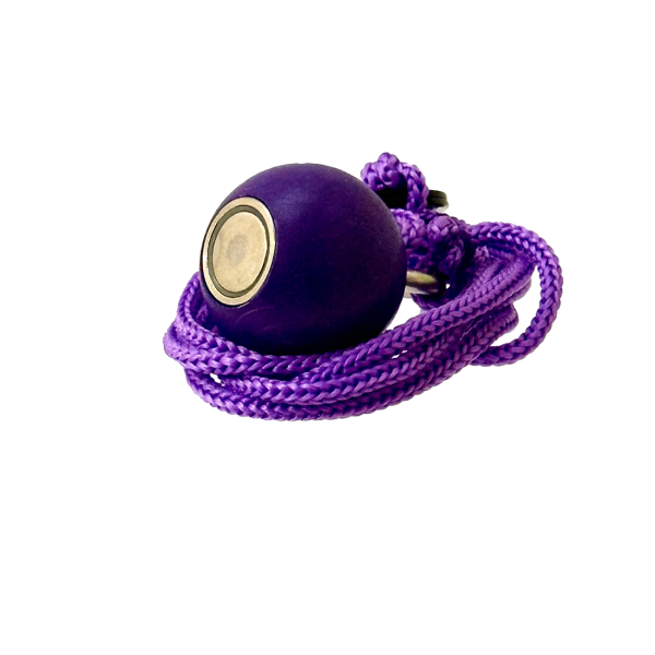 Petanque Ball Collect Violet